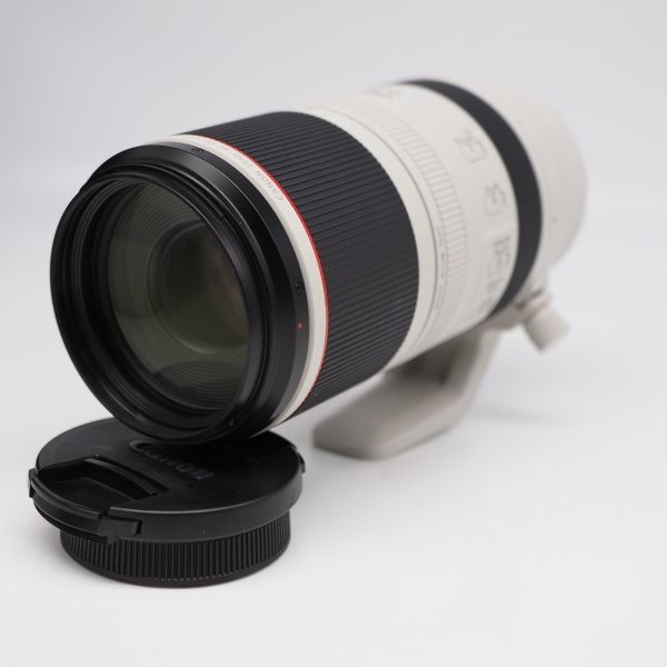 ■極上品■ CANON RF100-500mm F4.5-7.1 L IS USM_画像2