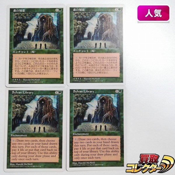 sB306o [人気] MTG 森の知恵 Sylvan Library 第5版 5ED 日本語版 英語版 各2枚 計4枚_画像1