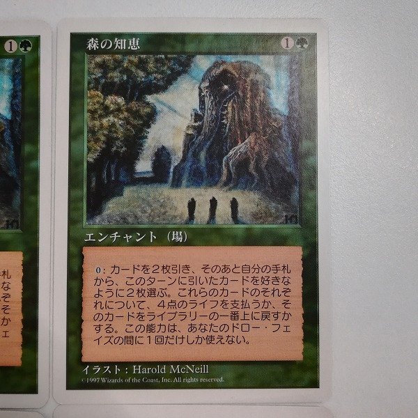 sB306o [人気] MTG 森の知恵 Sylvan Library 第5版 5ED 日本語版 英語版 各2枚 計4枚_画像4