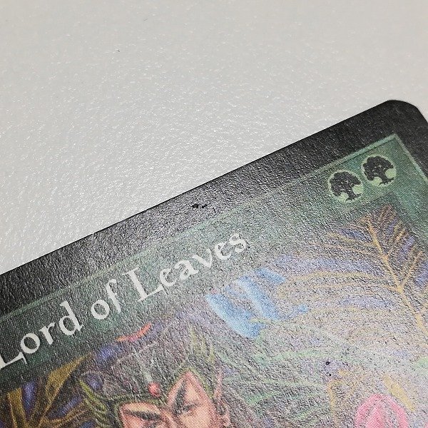 sB466o [人気] MTG 葉の王エラダムリー Eladamri，Lord of Leaves テンペスト TMP 英語版 計2枚_画像5