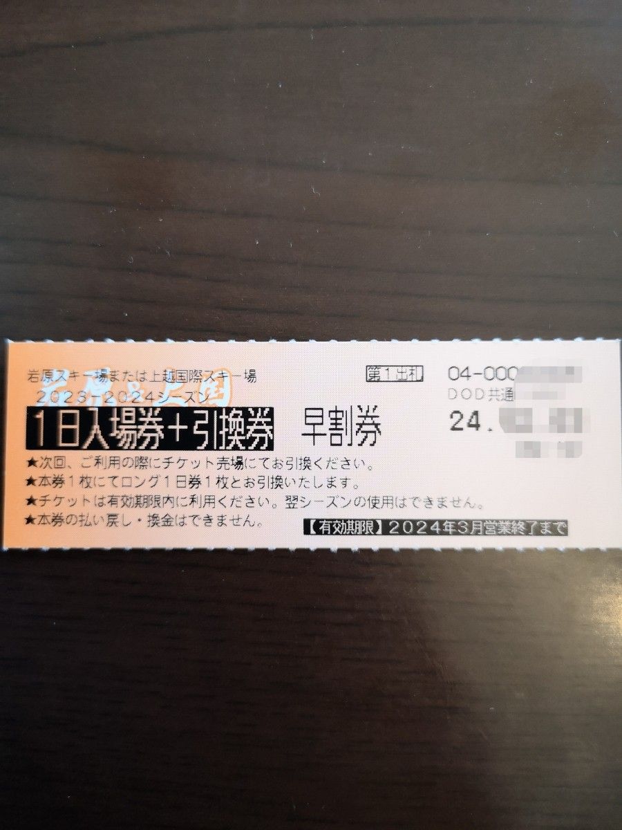 上国 ＆ 岩原スキー場 リフト早割券
