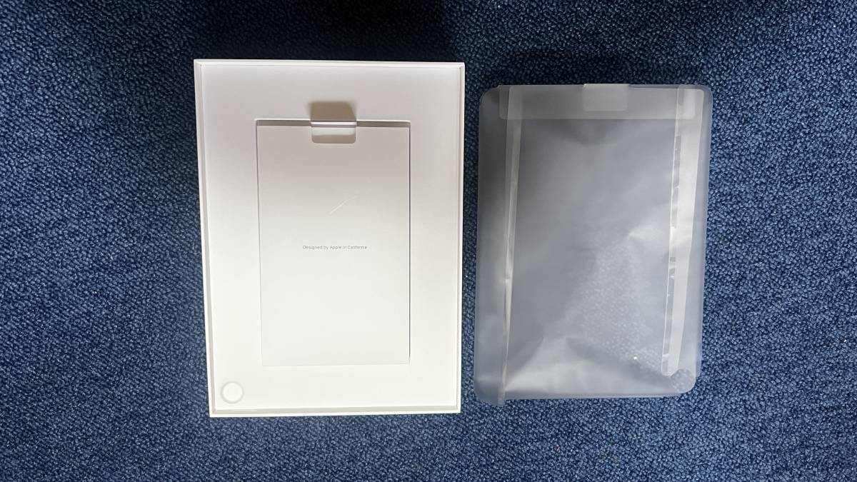 iPad Air4 10.9インチ Wi-Fi 265GB スカイブルー 2020年_画像3