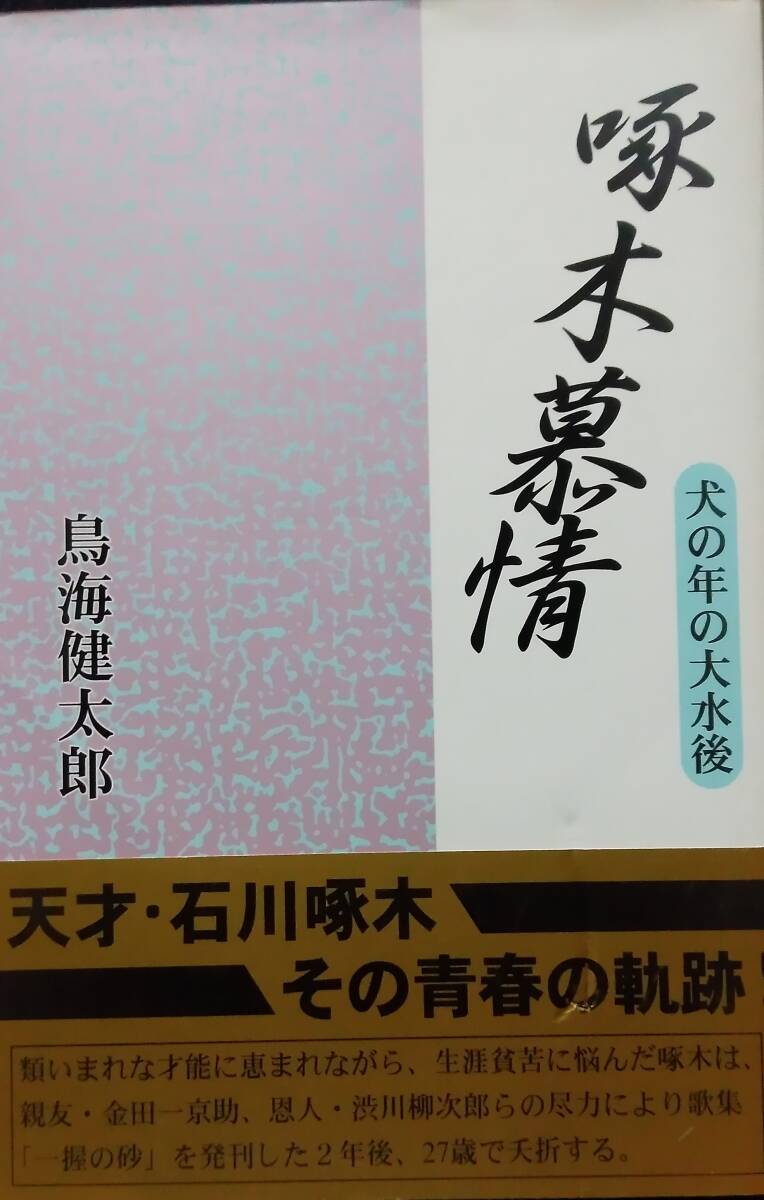 啄木慕情―犬の年の大水後 _画像1