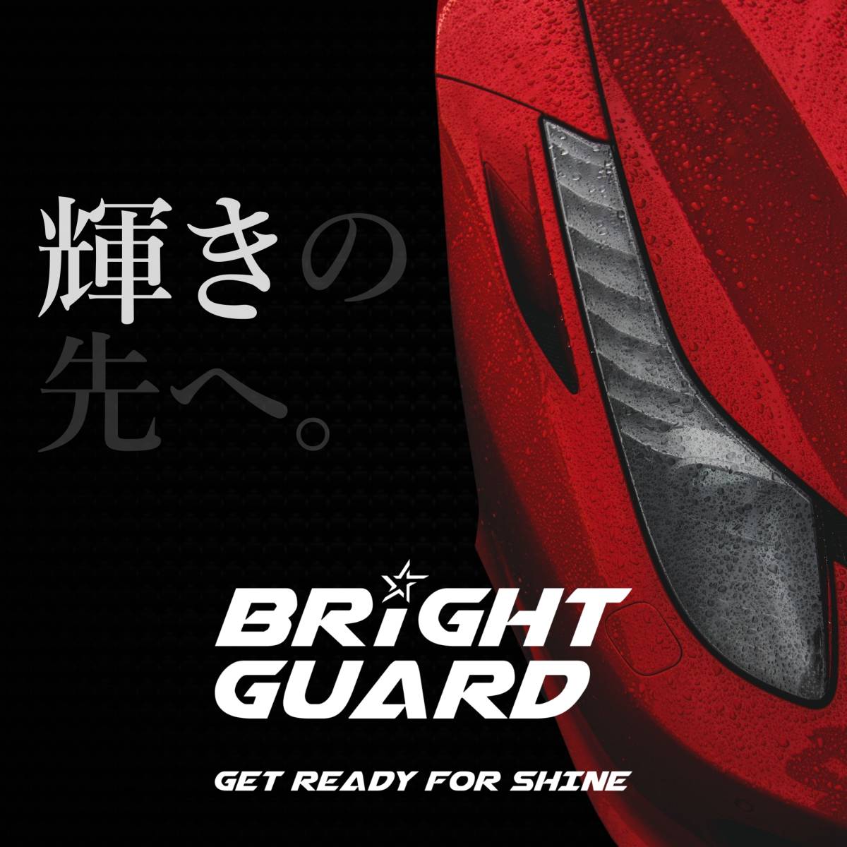 【お得な2枚セット】BRiGHT GUARD ウォッシュミット・プロ BG-MP 洗車 洗車用品 洗車グッズ 洗車グローブ マイクロファイバー 手洗いの画像7