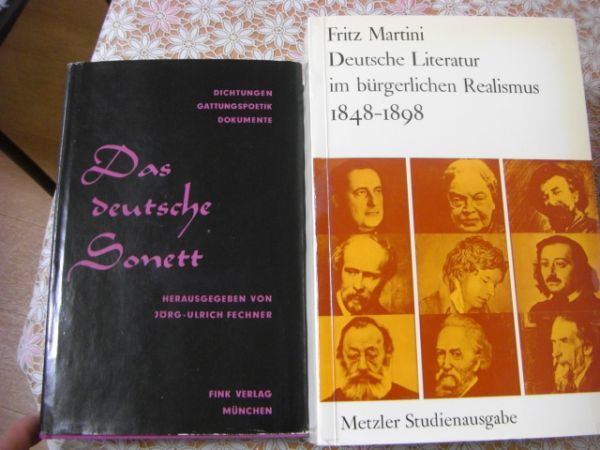 ドイツ文学洋書 9冊 Goethe、Max Weber、Fritz Martini、Debatten und Kontroversen、Sturm und Drang, Klassik, Romantik D5_画像8