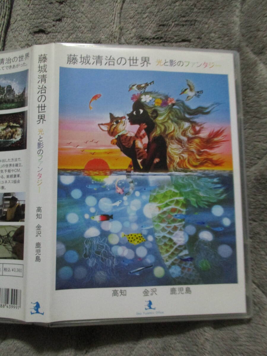 DVD wistaria castle Kiyoshi .. world light ... fantasy 2010 year opening. exhibition viewing .( Kochi * Kanazawa * Kagoshima ) hour. work 