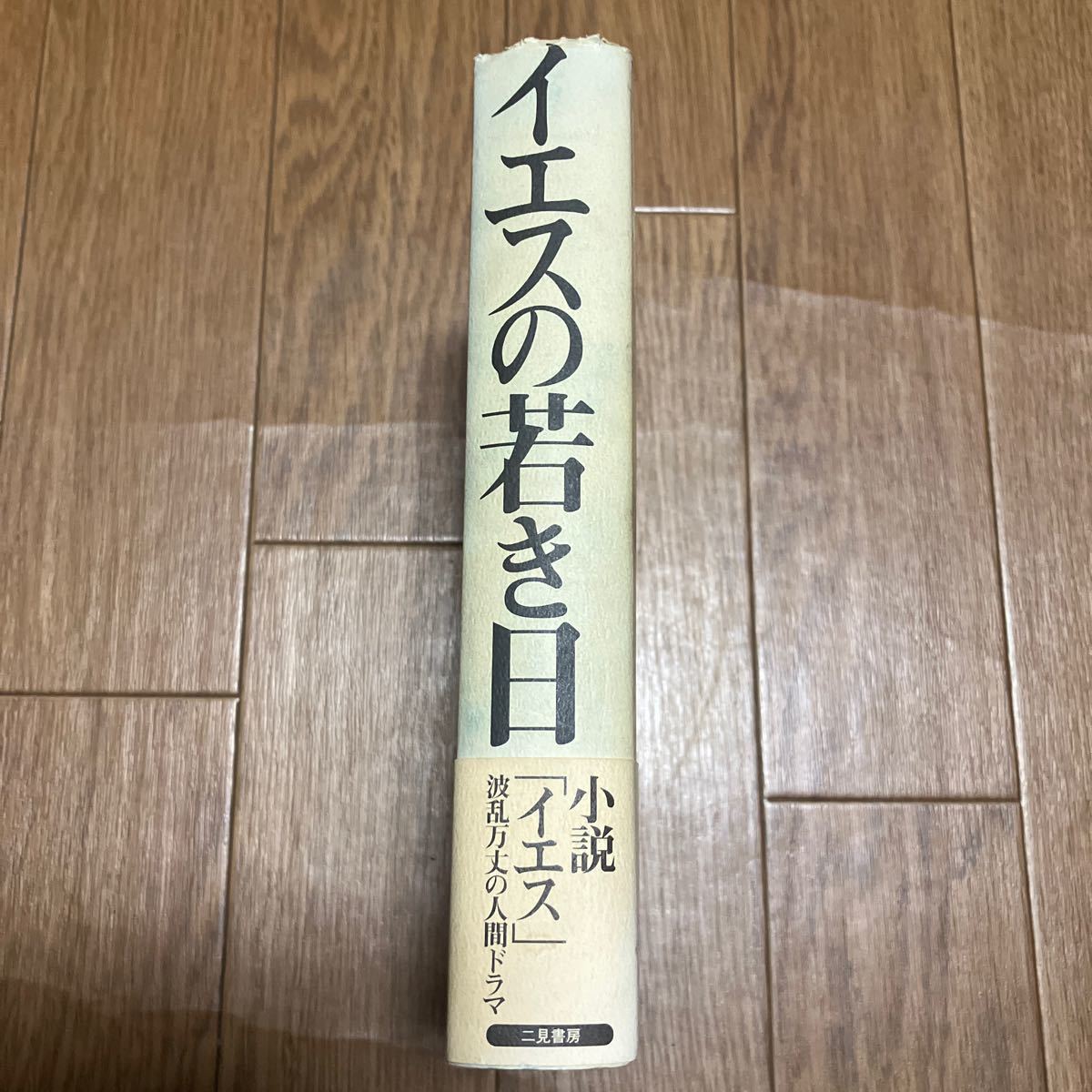 イエスの若き日／コリンデシルヴァ (著者) 真野明裕 (訳者) 二見書房 小説 キリスト教 フィクション_画像2