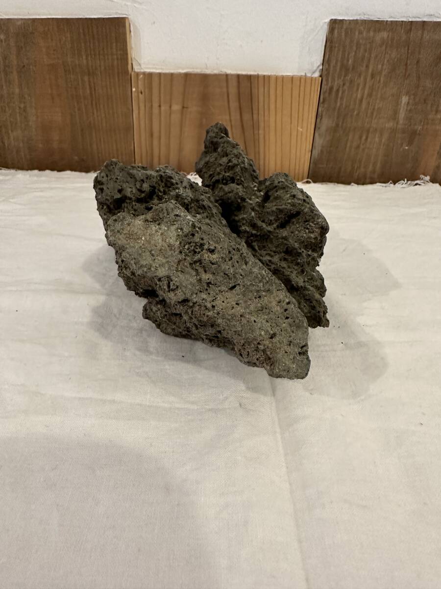 鑑賞石 重量1582g 欅台座 菊花石 天然石 自然石 銘石 盆石 紋石 水石 原石 鉱物 コレクション お宝 骨董 古物 コレクター コレクション_画像4