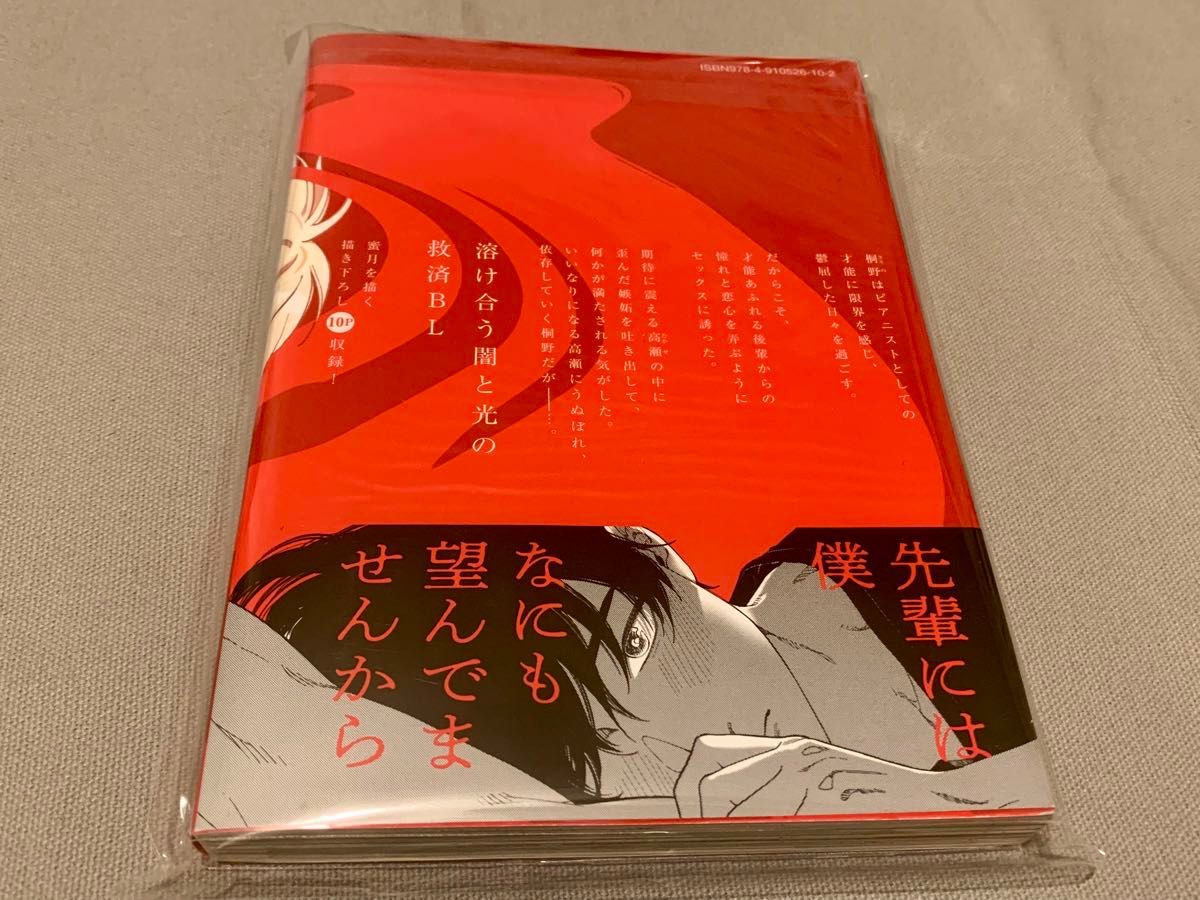 BLコミック　『嫉妬は愛を曇らせる』　著者/汀えいじ