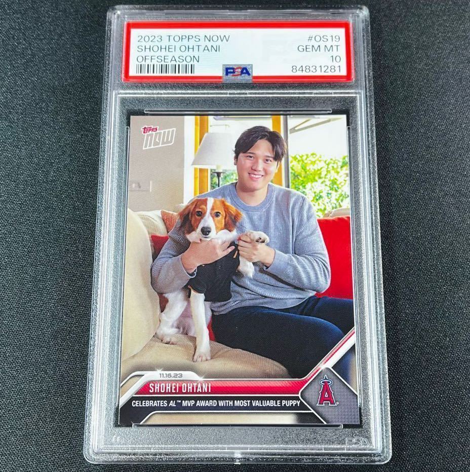 PSA10 GEM MINT 2023 Topps Now 大谷翔平 2023年11月16日 MVP受賞の瞬間 限定オーダーカード OS-19 愛犬 デコピン デコイ PSA鑑定済カード_画像1