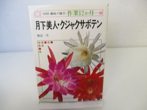 月下美人・クジャクサボテン (NHK趣味の園芸:作業12か月) b0602-da2-ba256018の画像1