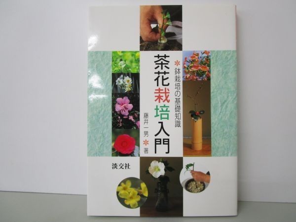 茶花栽培入門―鉢栽培の基礎知識 b0602-da3-ba256089_画像1