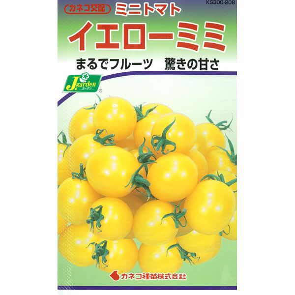 送料無料　イエローミミ　極甘ミニトマト　3粒_画像1