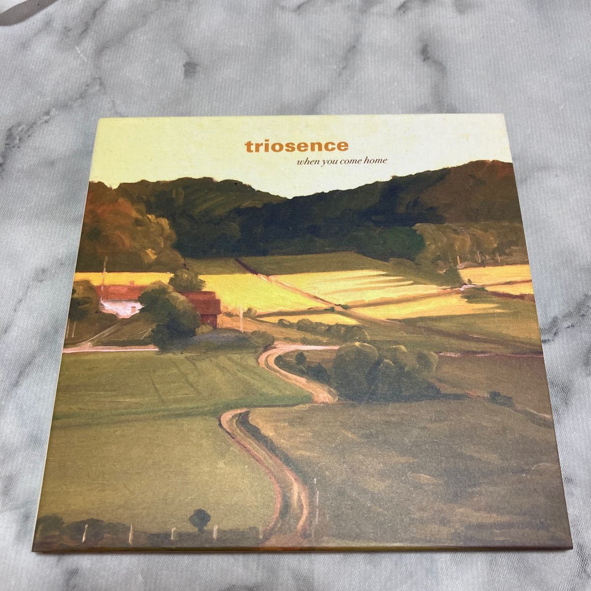 CD 中古品 triosence uhen you come home c31_画像1