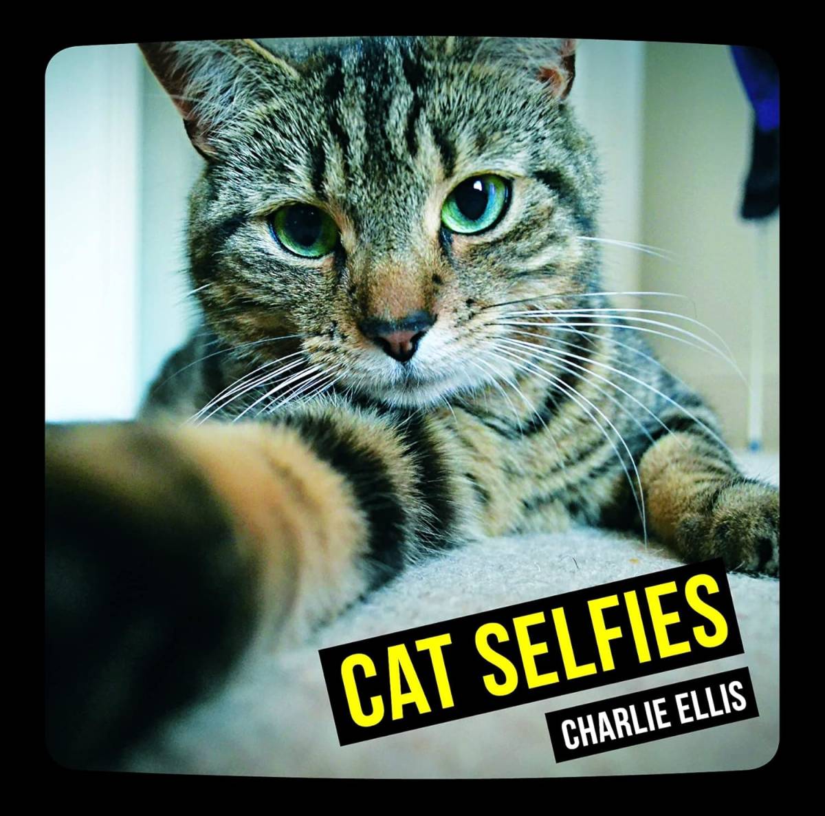 ■写真集■CAT SELFIES　Charlie Ellis 　猫の自撮り風　 ハードカバー96ページ 