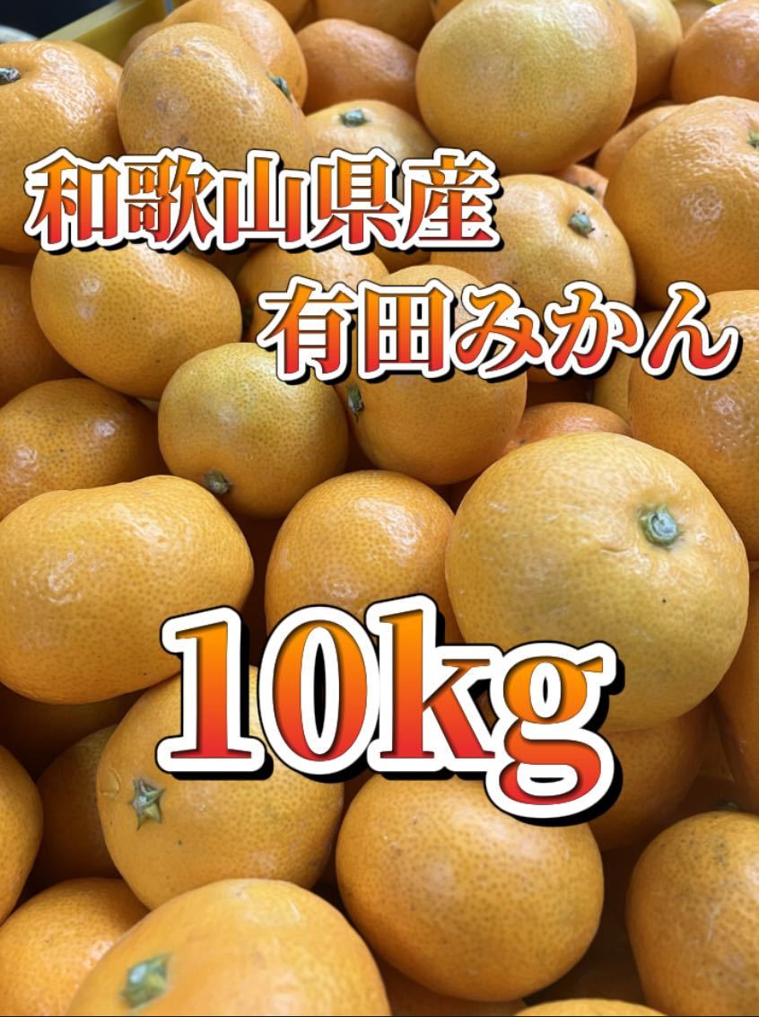 @590 格安 和歌山県産 有田みかん 10kg S〜Lサイズ 産地直送 早生みかん 小玉 大玉 みかん 甘くて美味しい_画像1