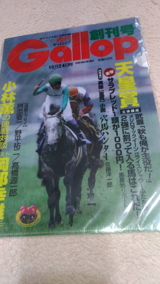 週刊gallop　創刊号　クリアファイル_画像1