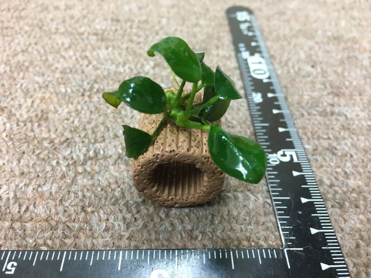 item_image_8