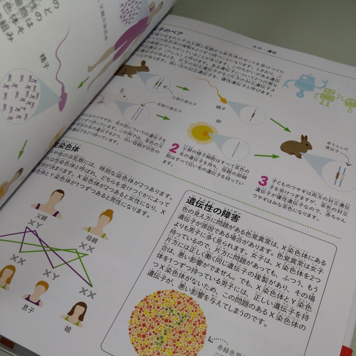 理科の図鑑　子供の科学ビジュアル図鑑　田中千尋　学習・児童書・絵本・小学生のうちに伸ばしたい世界基準の理系脳を育てる