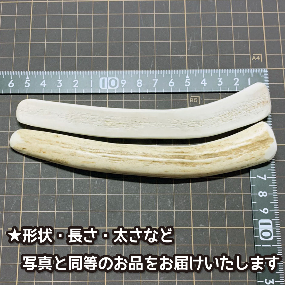 ■ 小型犬用 ■ 天然 北海道産 蝦夷鹿の角 ■ 半割りロング 2本セット ■ 犬のおもちゃ ■ 無添加 エゾシカ ツノ 鹿の角 犬 ■ 15212_画像2