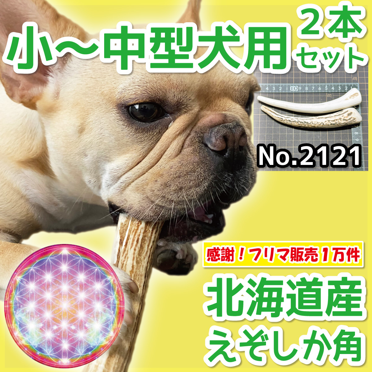 ■ 小～中型犬用 ■ 2本セット ■ 天然 無添加 北海道産 蝦夷鹿の角 ■ 犬のおもちゃ ■ 鹿角 エゾシカ ツノ 鹿の角 犬 21211