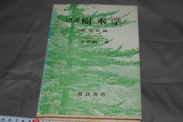 q593】図説樹木学針 葉樹編 矢頭献一 朝倉書店、昭和53年_画像1