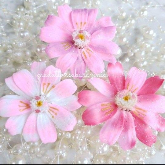 桜ジニア 3輪 花材 プリザーブドフラワー 