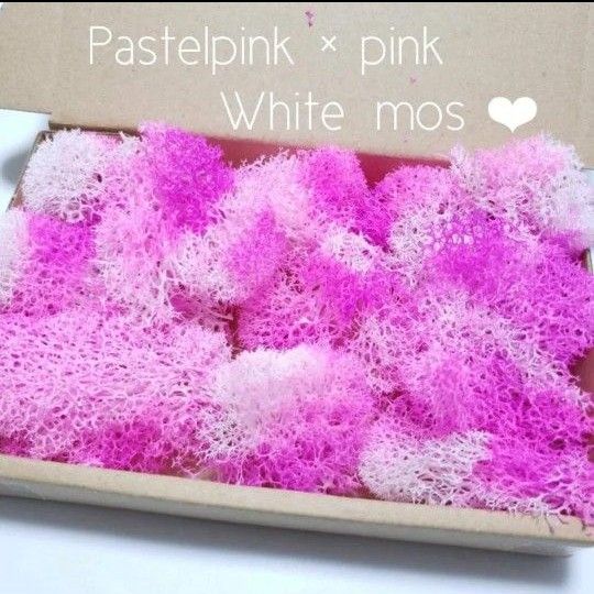 ピンク フィンランドモス 花材 プリザーブドフラワー