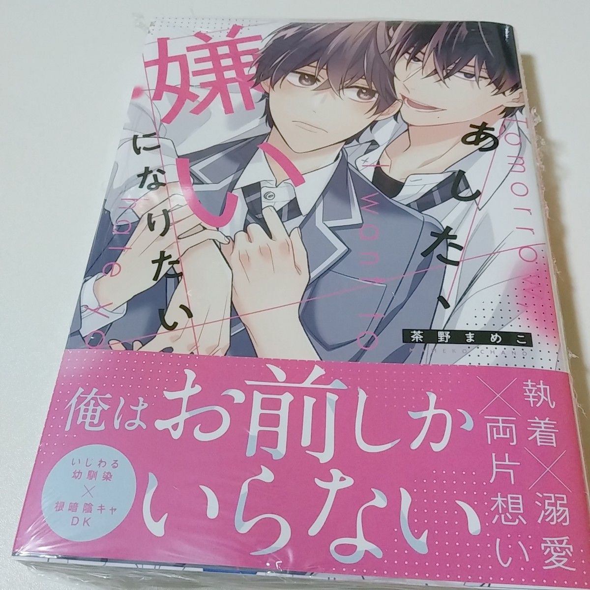 あした、嫌いになりたい 茶野まめこ