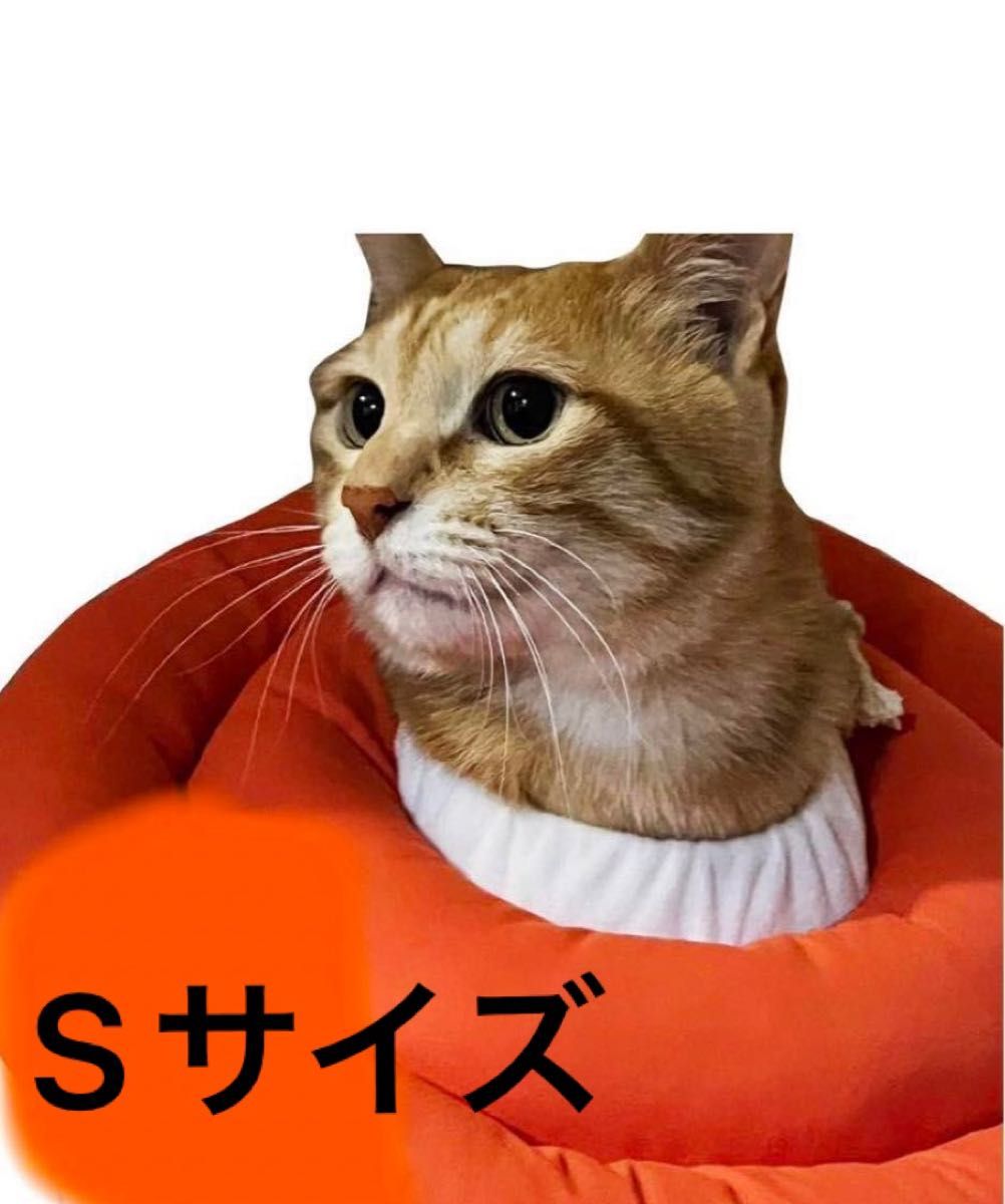 エリザベスカラー 子猫 子犬 ソフト 引っ掻き防止 オレンジ Sサイズ