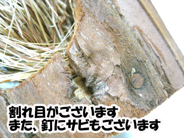 [ long-term keeping goods * very with translation ] Mini ani man Japanese cedar leather. ... rhinoceros koro. ...[ small animals squirrel hamster ]
