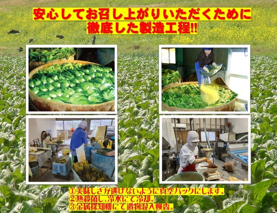 九州産 博多 からし 高菜 250g×2P_画像3