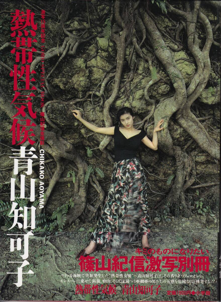 Yahoo!オークション - 青山知可子 写真集 「熱帯性気候」 Yahoo!オークション - 青山知可子 写真集 「熱帯性気候」