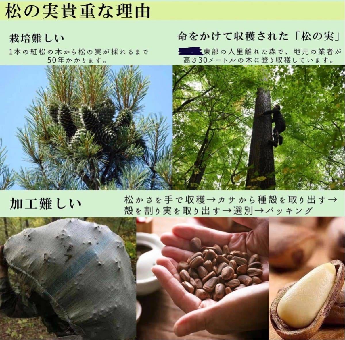 松の実 松の実 特級はミネラルと食物繊維が豊富で、栄養が豊富な250gの画像7