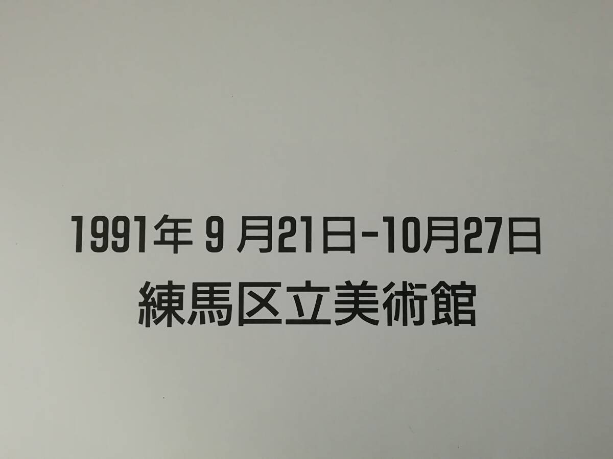 大沢昌助展 変身と変貌 練馬区立美術館 1991年 図録_画像8