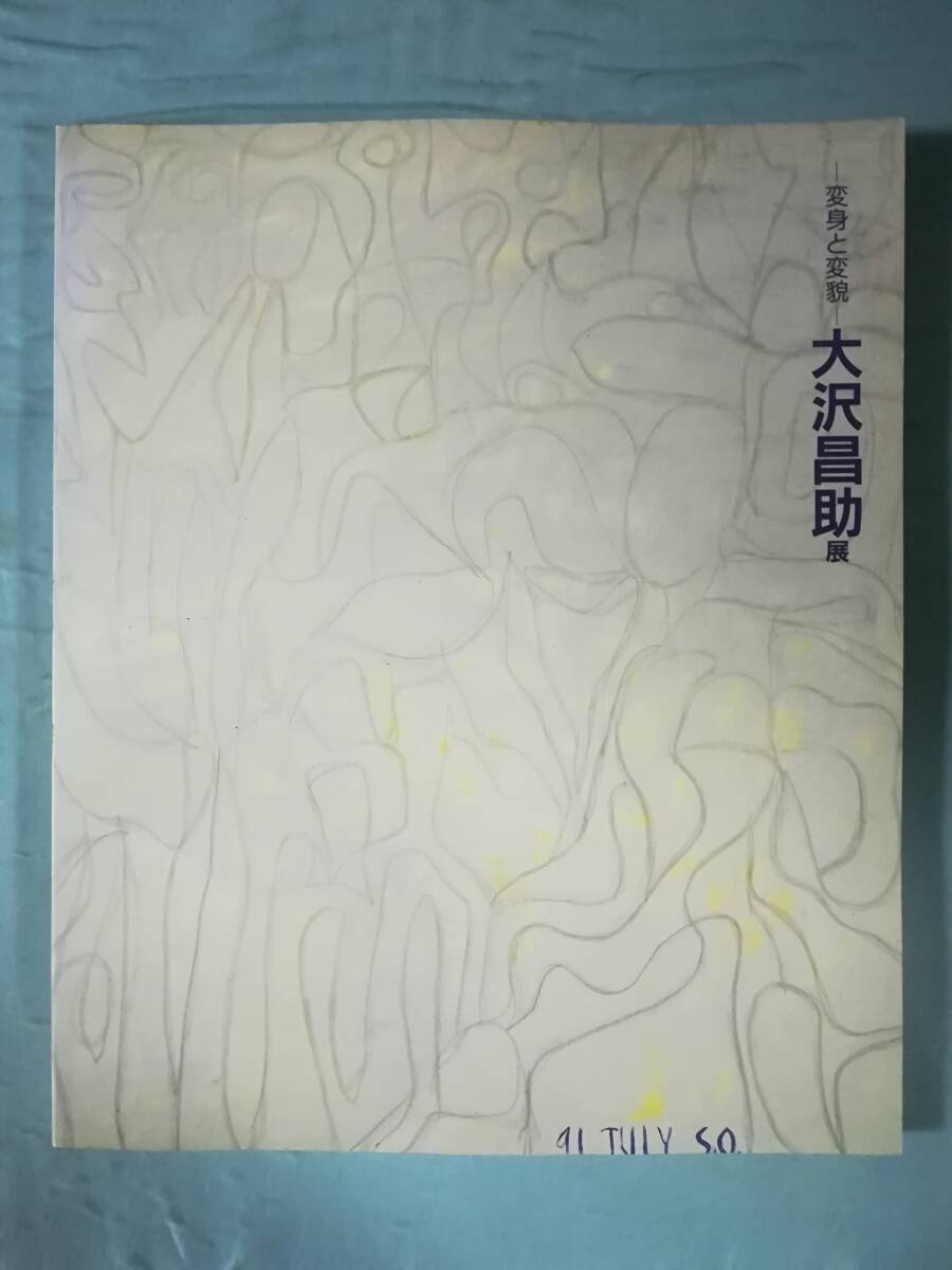 大沢昌助展 変身と変貌 練馬区立美術館 1991年 図録_画像1