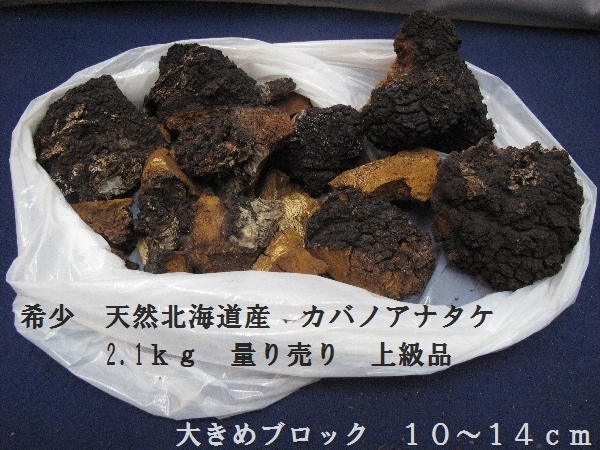 希少　天然北海道産　カバノアナタケ　2.1ｋｇ　量り売り　上級品　大きめブロック　１０から14ｃｍ（3118）健康　生薬　茶　食物繊維　