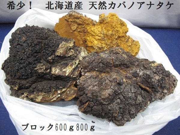 希少！　北海道産　天然カバノアナタケ　ブロック600ｇ～800ｇ（3120）　生薬　茶　健康　栄養　薬　食物繊維　飲料　北海道　