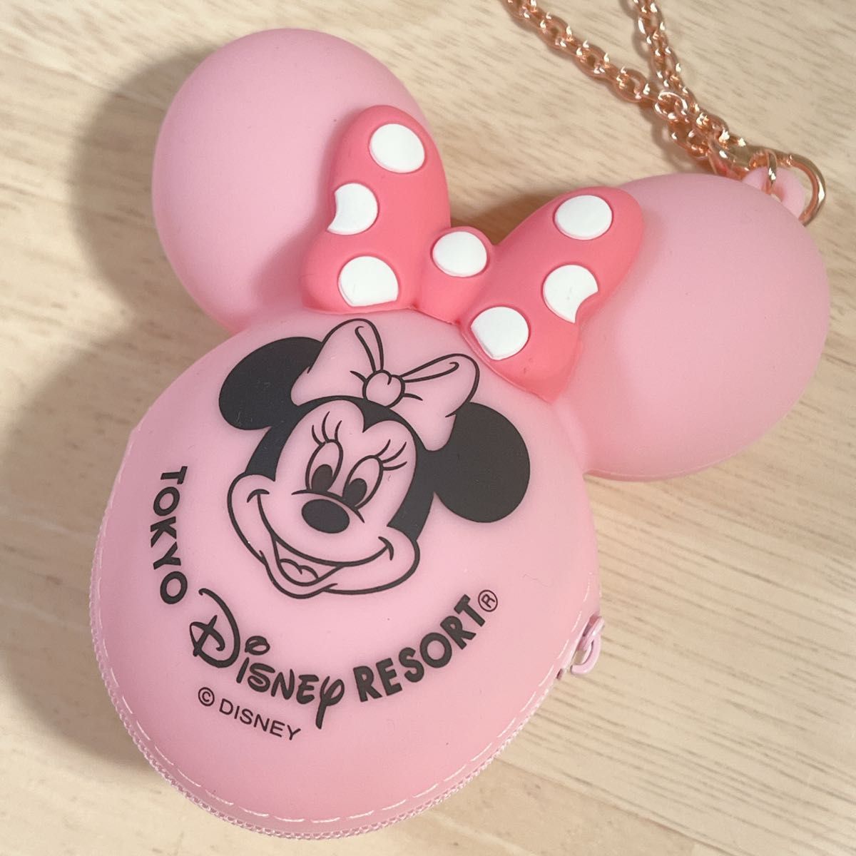 東京ディズニーリゾート ミニー ベスティーズ バッシュ バッグ 東京ディズニーリゾート ミニー ベスティーズ バッシュ バッグ