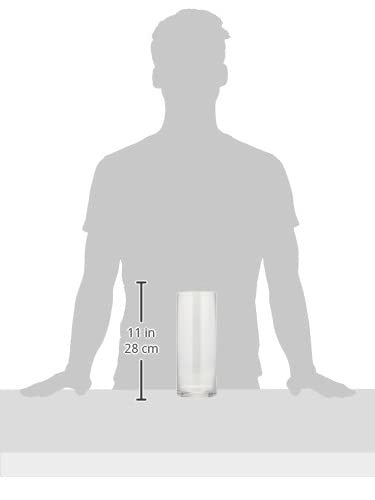 PASEO ваза для цветов стекло основа EX-39-25 прозрачный примерно 10×10×25cm