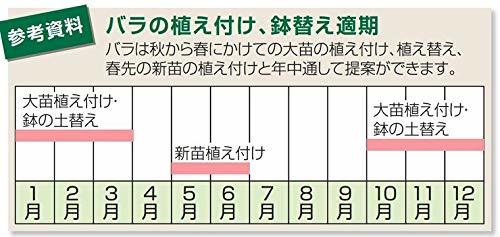 リッチェル バラ鉢 12号 ブルー 5個組_画像4