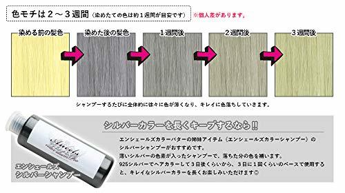 エンシェールズ クリップジョイント カラーバター 925シルバー 200g トリートメント 200グラム (x 1)の画像3