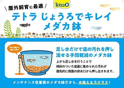 Tetra テトラ じょうろでキレイメダカ鉢 丸30 黒 水を入れ替えることができる 睡蓮鉢 金魚鉢 割れにくい 頑丈 樹脂製 軽量 水換え不要の画像7