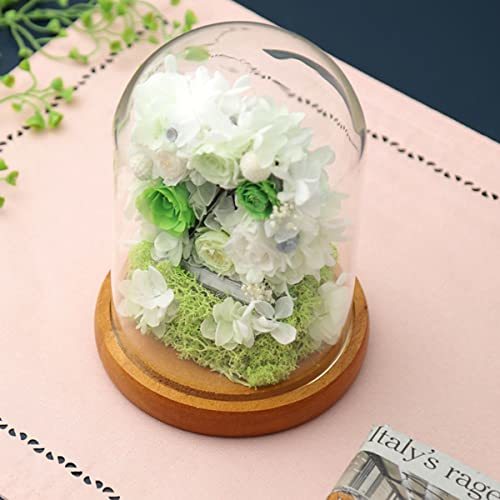  tea to site preserved flower flower gift flower present glass dome viewing car (3 rose green )