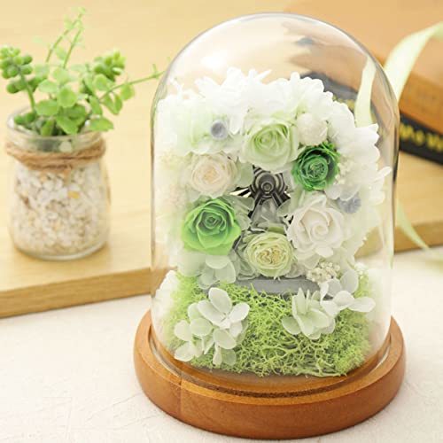  tea to site preserved flower flower gift flower present glass dome viewing car (3 rose green )