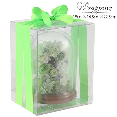  tea to site preserved flower flower gift flower present glass dome viewing car (3 rose green )