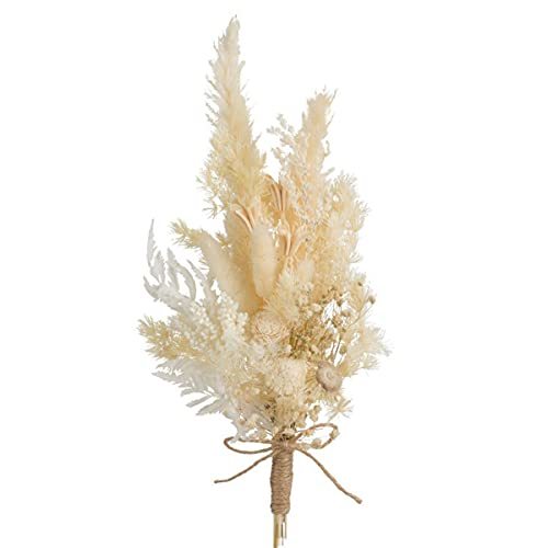 [SOMU taba] сухой цветок консервированный цветок букет интерьер swag цветок подарок (wata)