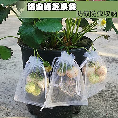 [50 pieces set ] fruit protection bag fruits sack fruits moth repellent sack mesh bag protection net moth repellent protection from birds protection net pouch fruit 