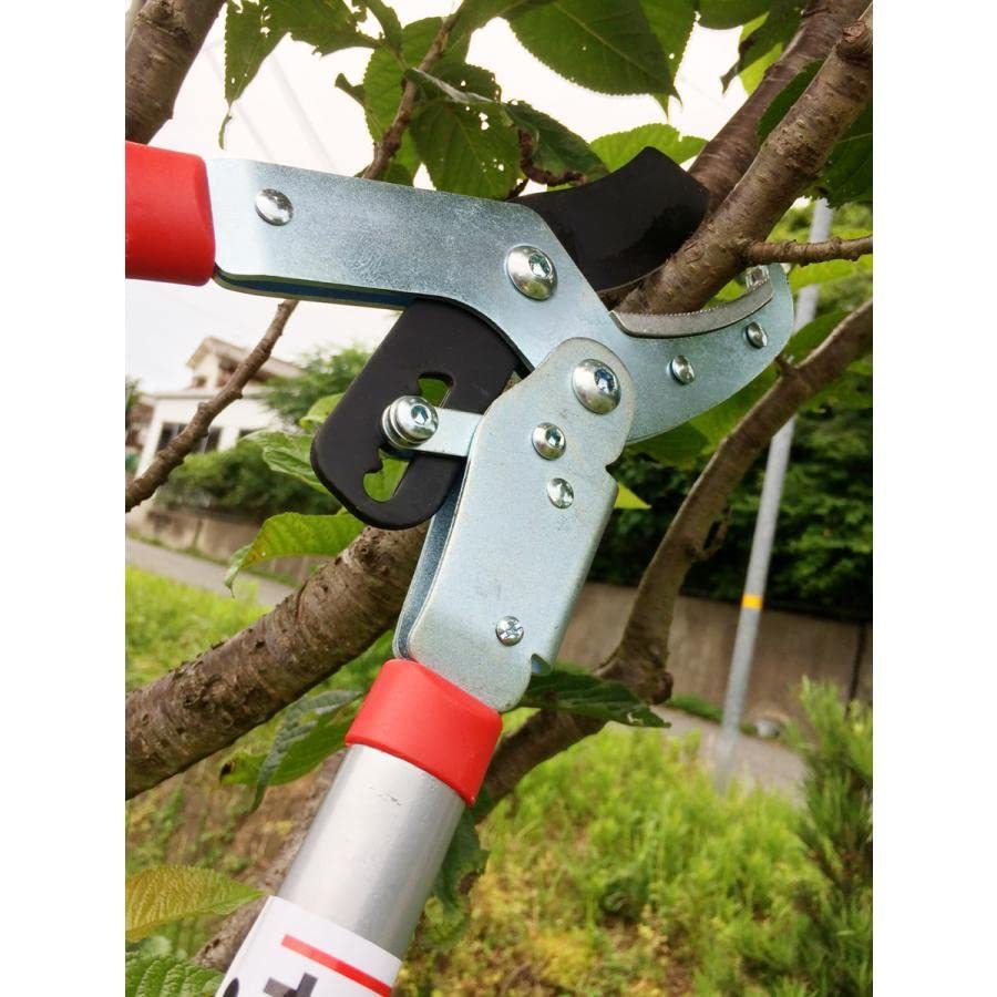  large . ratchet type futoshi branch cut .50mm 5cm futoshi branch cut .... branch scissors tongs gardening gardening agriculture garden farm work 