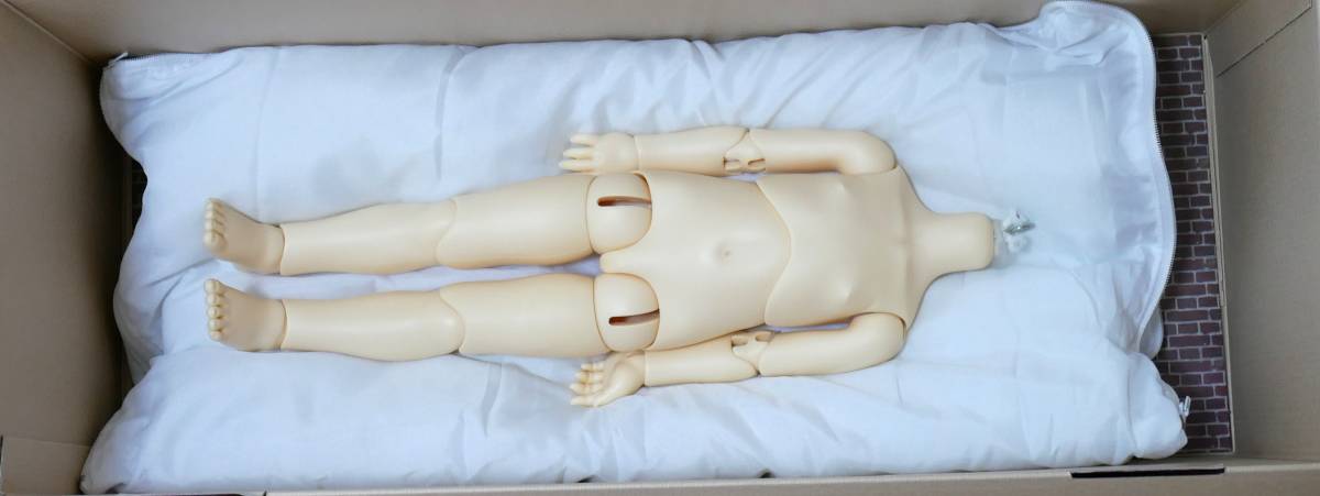 Dear SD body fea. balk s body * box * futon doll case B